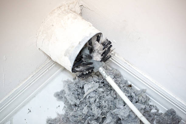 Best Air Duct Mold Removal  in Walled Lake, MI
